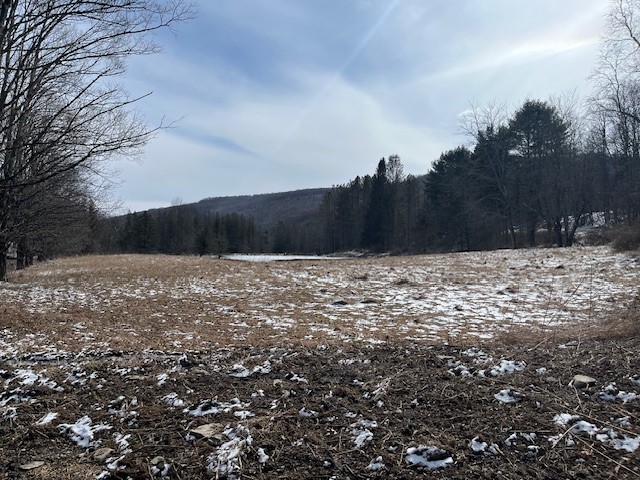 121 Palmer Road Jefferson, NY 12093 - Photo 35 of 46 view