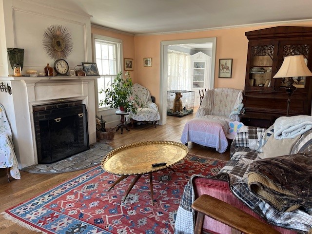 121 Palmer Road Jefferson, NY 12093 - Photo 10 of 46 living room