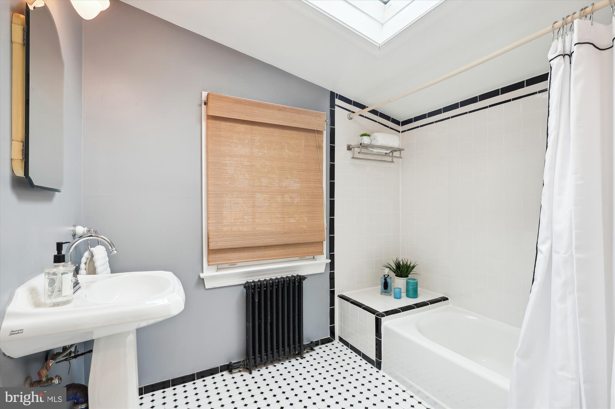 2209 Russell Road Alexandria, VA 22301 - Photo 18 of 48 Main floor full bath w/skylight