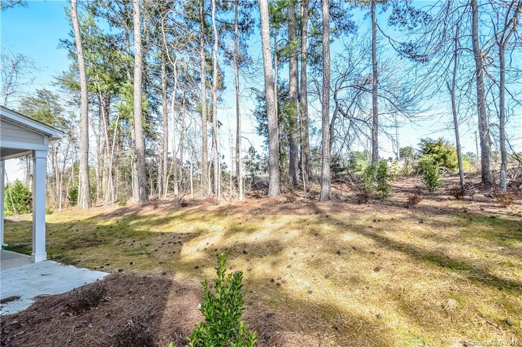 3870 Eastwind Cove Road Denver, NC 28037 - Photo 23 of 24 Gallery Image 23