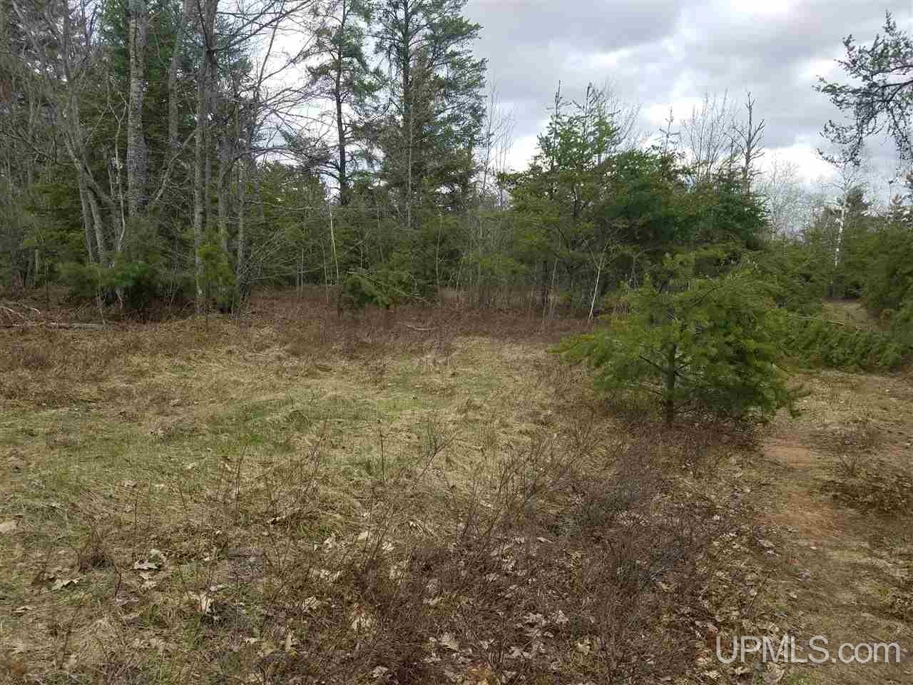 493 Co Rd Ml Road Negaunee, MI 49866 - Photo 9 of 13