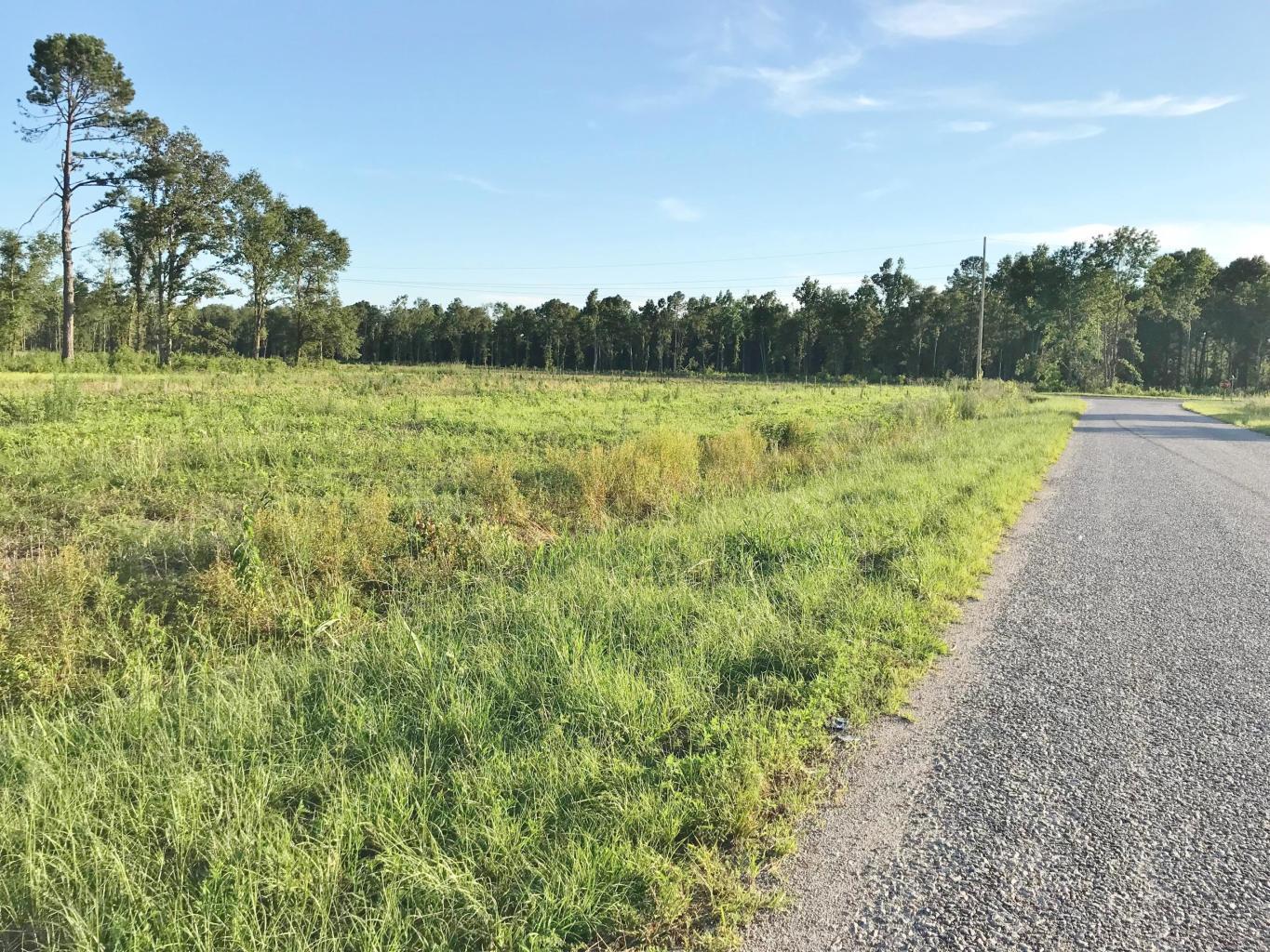 Lot 11 Jetridge Road Holly Hill, SC 29059 - Photo 2 of 2 20190630235238925619000000-o