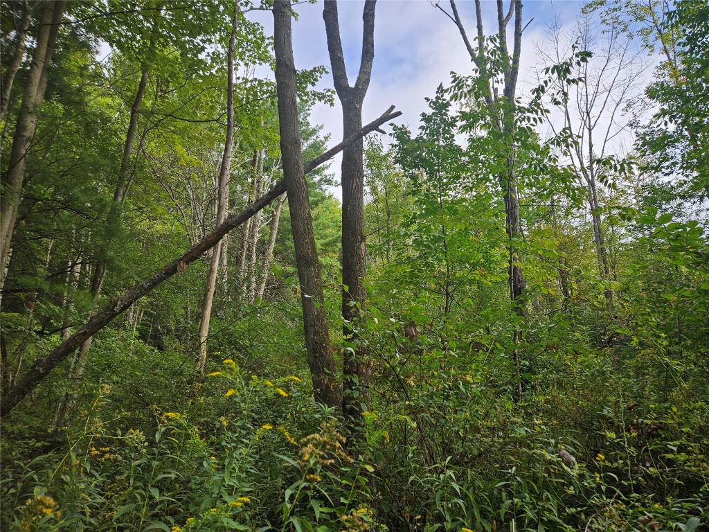 0 Ridge Road Extension Waverly, NY 14892 - Photo 14 of 14 Gallery Image 14