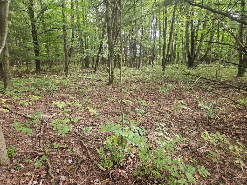 0 Ridge Road Extension Waverly, NY 14892 - Photo 4 of 14 Gallery Image 4