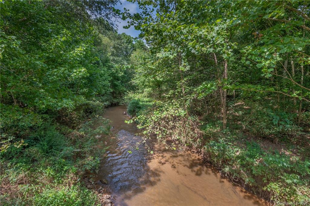 1914 Coxe Road Rutherfordton, NC 28139 - Photo 9 of 47 a view of a forest with lots of trees
