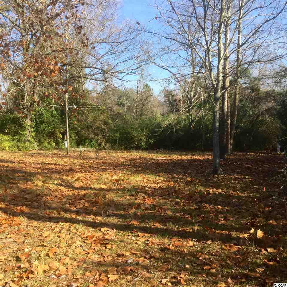 1675 Red Bluff Road Loris, SC 29569 - Photo 1 of 9 Gallery Image 1