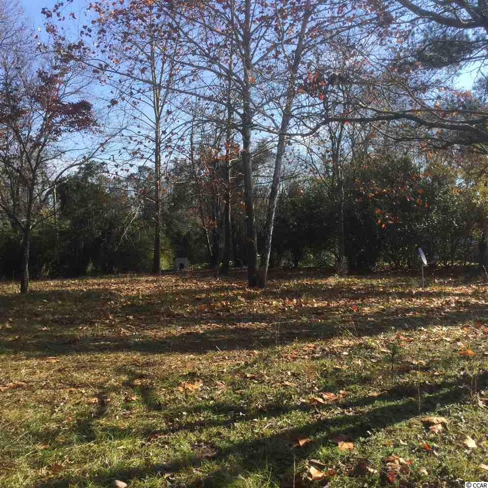 1675 Red Bluff Road Loris, SC 29569 - Photo 2 of 9 Gallery Image 2
