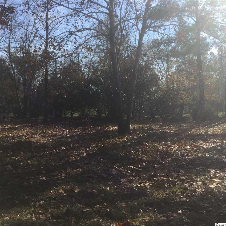 1675 Red Bluff Road Loris, SC 29569 - Photo 3 of 9 Gallery Image 3