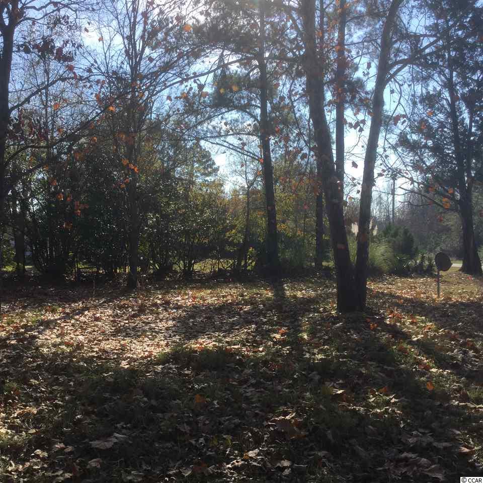 1675 Red Bluff Road Loris, SC 29569 - Photo 4 of 9 Gallery Image 4