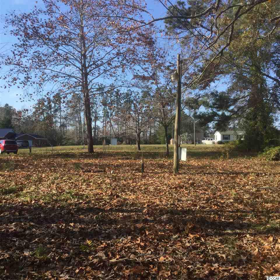 1675 Red Bluff Road Loris, SC 29569 - Photo 5 of 9 Gallery Image 5
