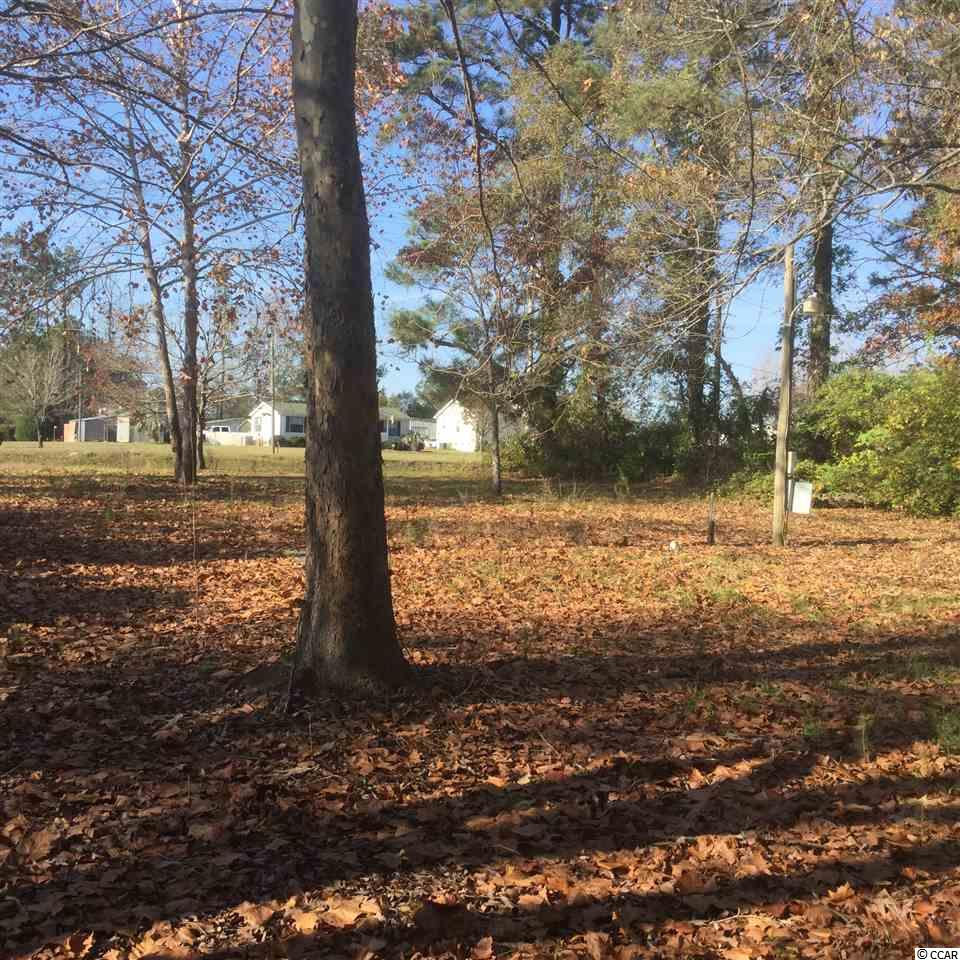 1675 Red Bluff Road Loris, SC 29569 - Photo 6 of 9 Gallery Image 6