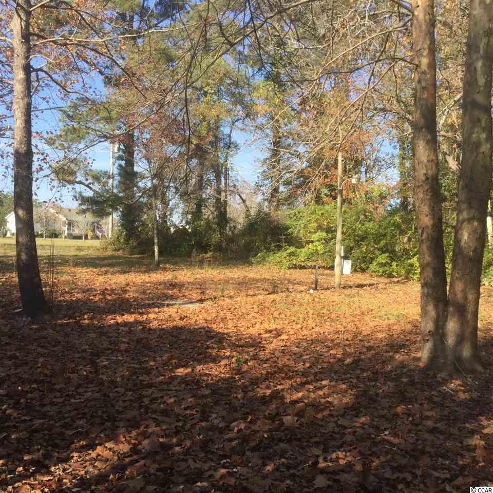 1675 Red Bluff Road Loris, SC 29569 - Photo 7 of 9 Gallery Image 7