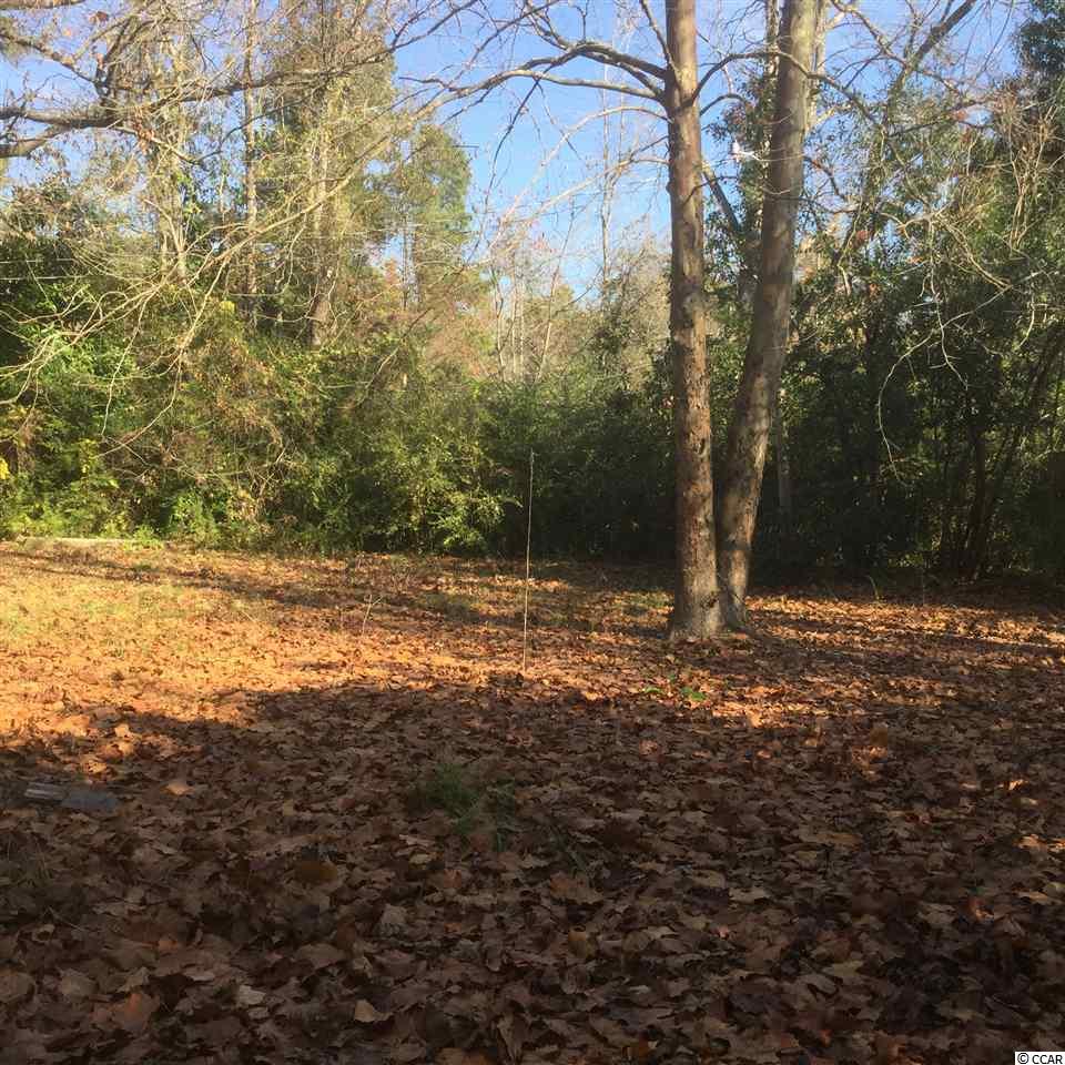 1675 Red Bluff Road Loris, SC 29569 - Photo 8 of 9 Gallery Image 8
