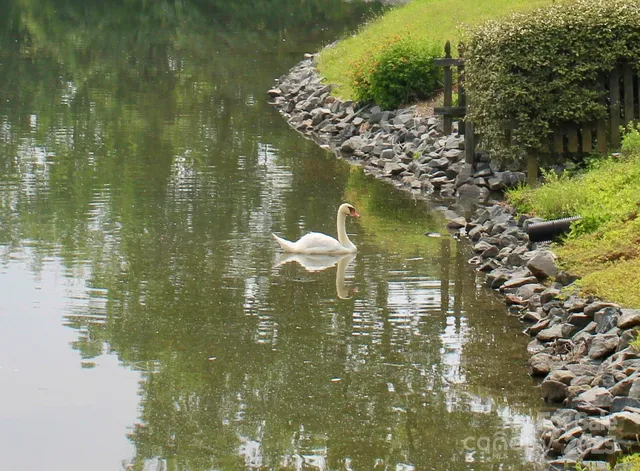 $214,000 | 5864 Harris Grove Lane, Charlotte, NC 28212