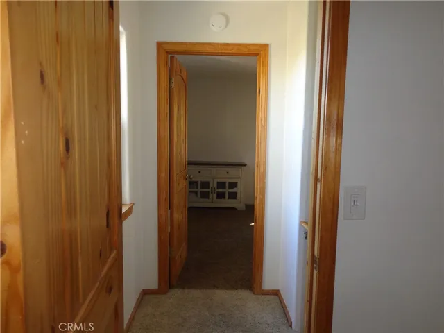 a view of a yard with a trees