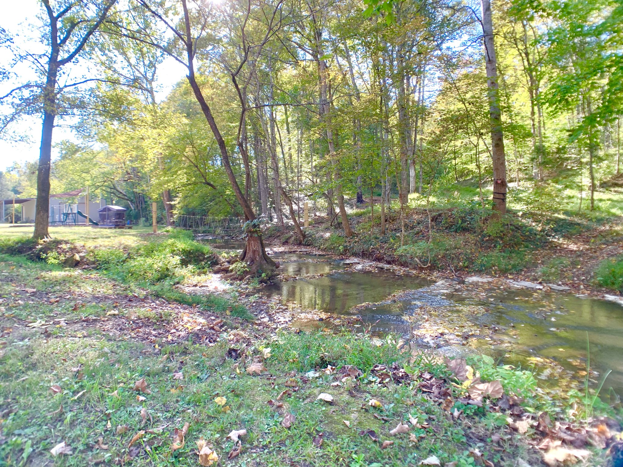 3979 Lem Davis Road Cunningham, TN 37052 - Photo 5 of 70 a backyard of a house with lots of green space