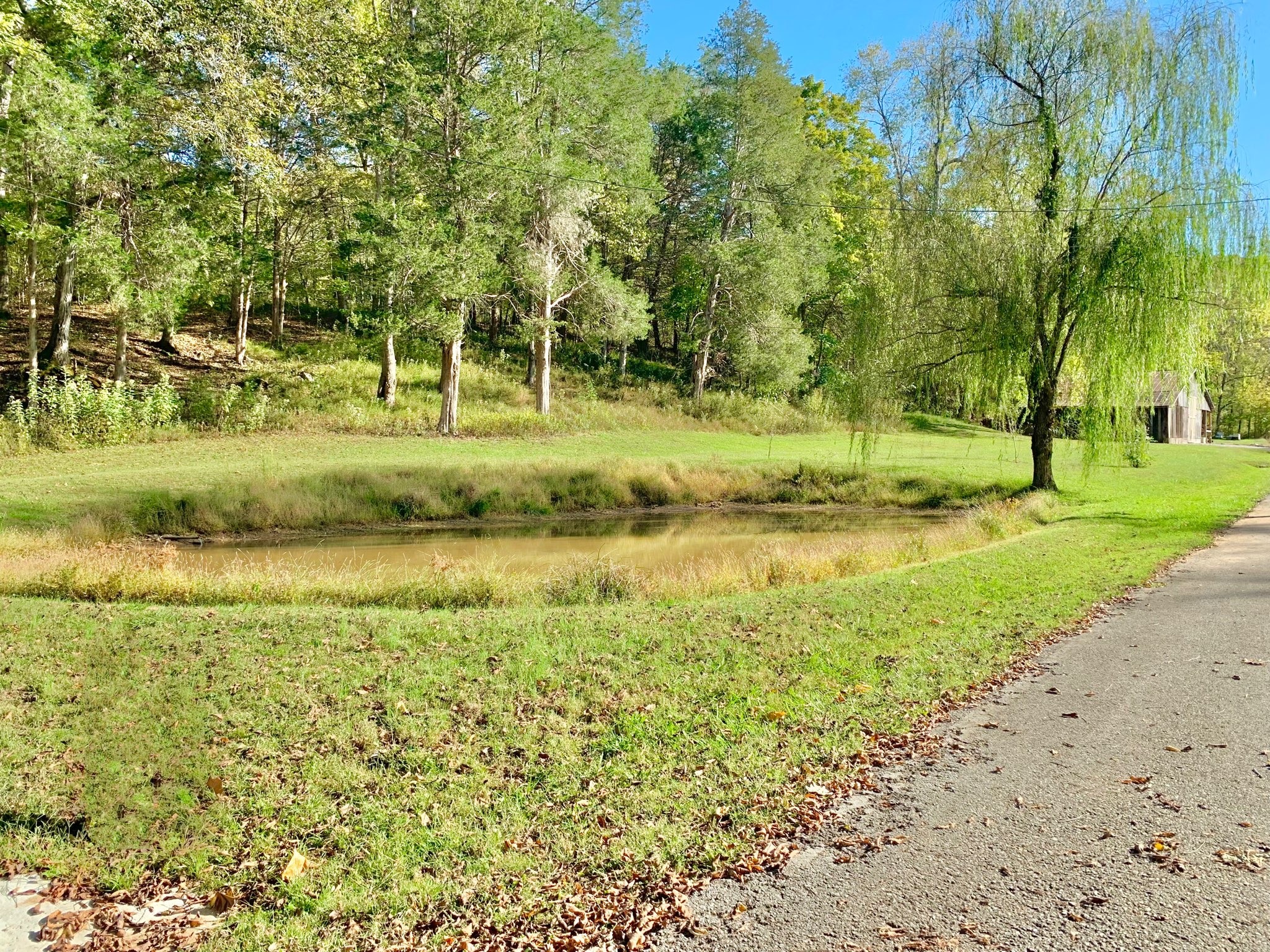 3979 Lem Davis Road Cunningham, TN 37052 - Photo 65 of 70 a view of a park with large trees