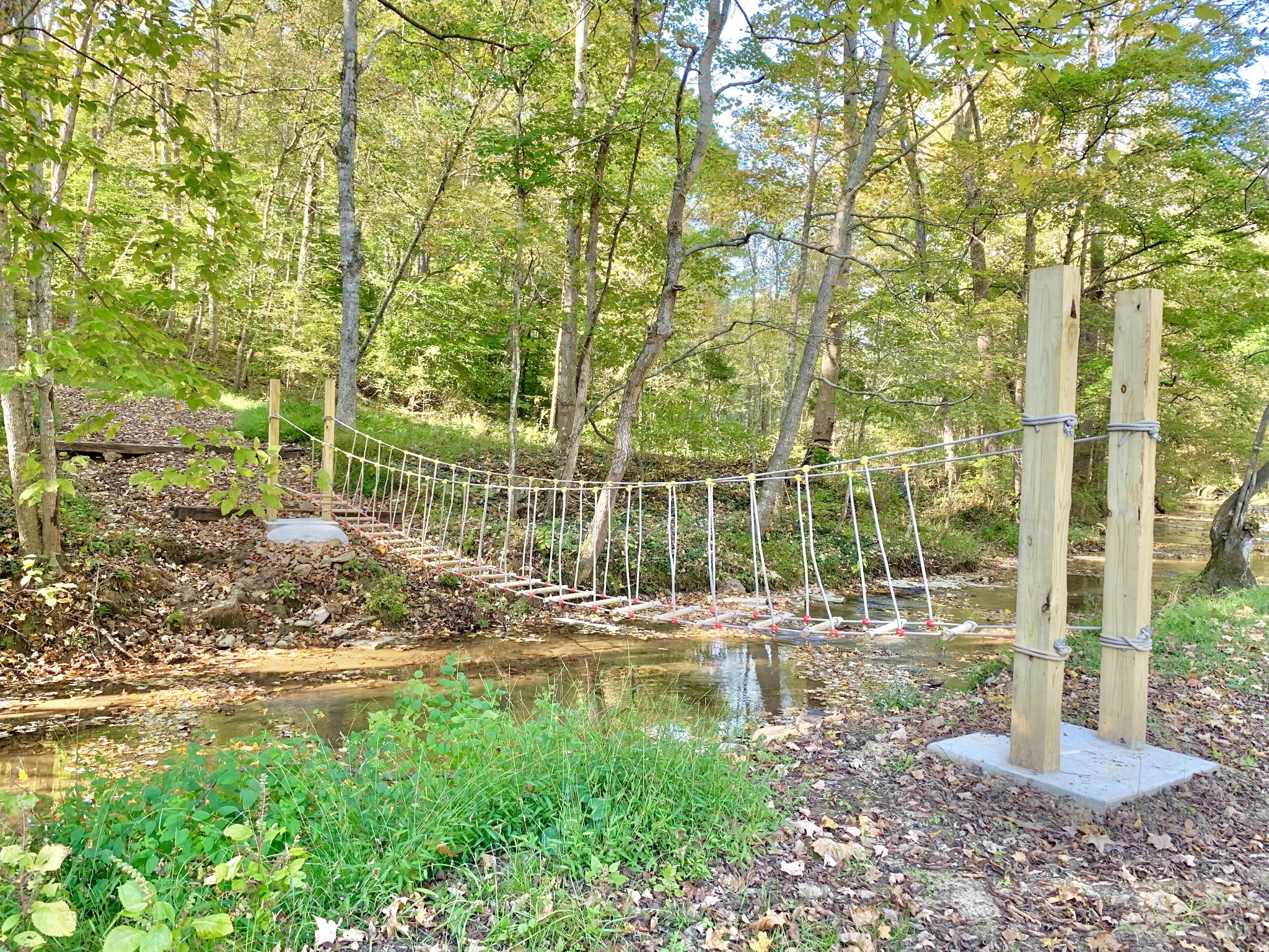 3979 Lem Davis Road Cunningham, TN 37052 - Photo 68 of 70