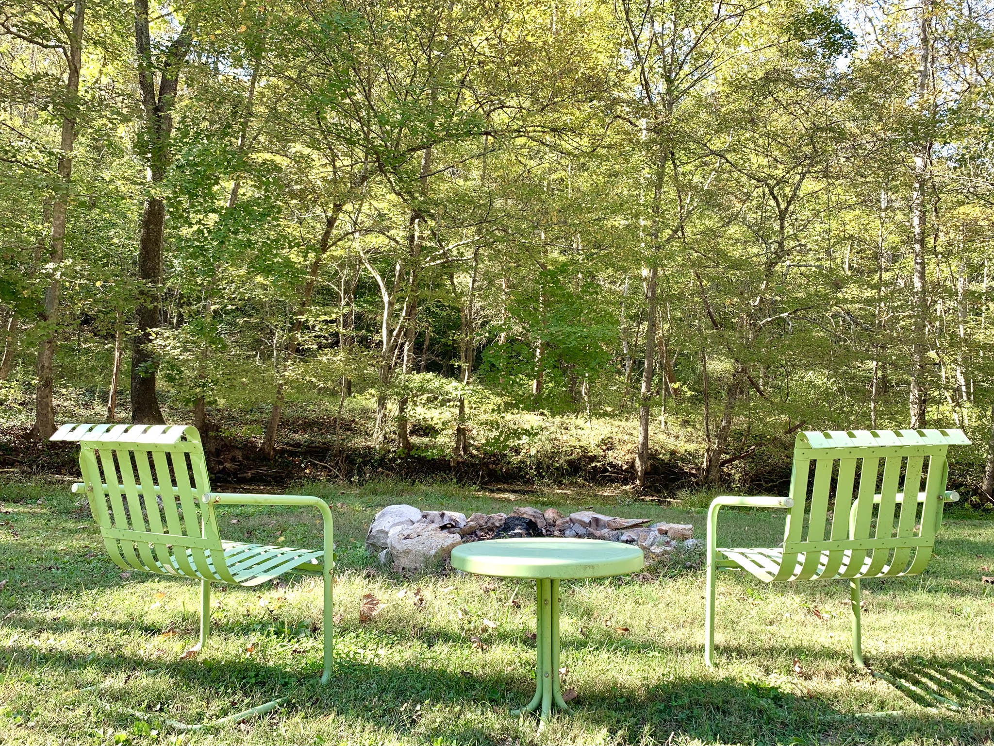 3979 Lem Davis Road Cunningham, TN 37052 - Photo 8 of 70