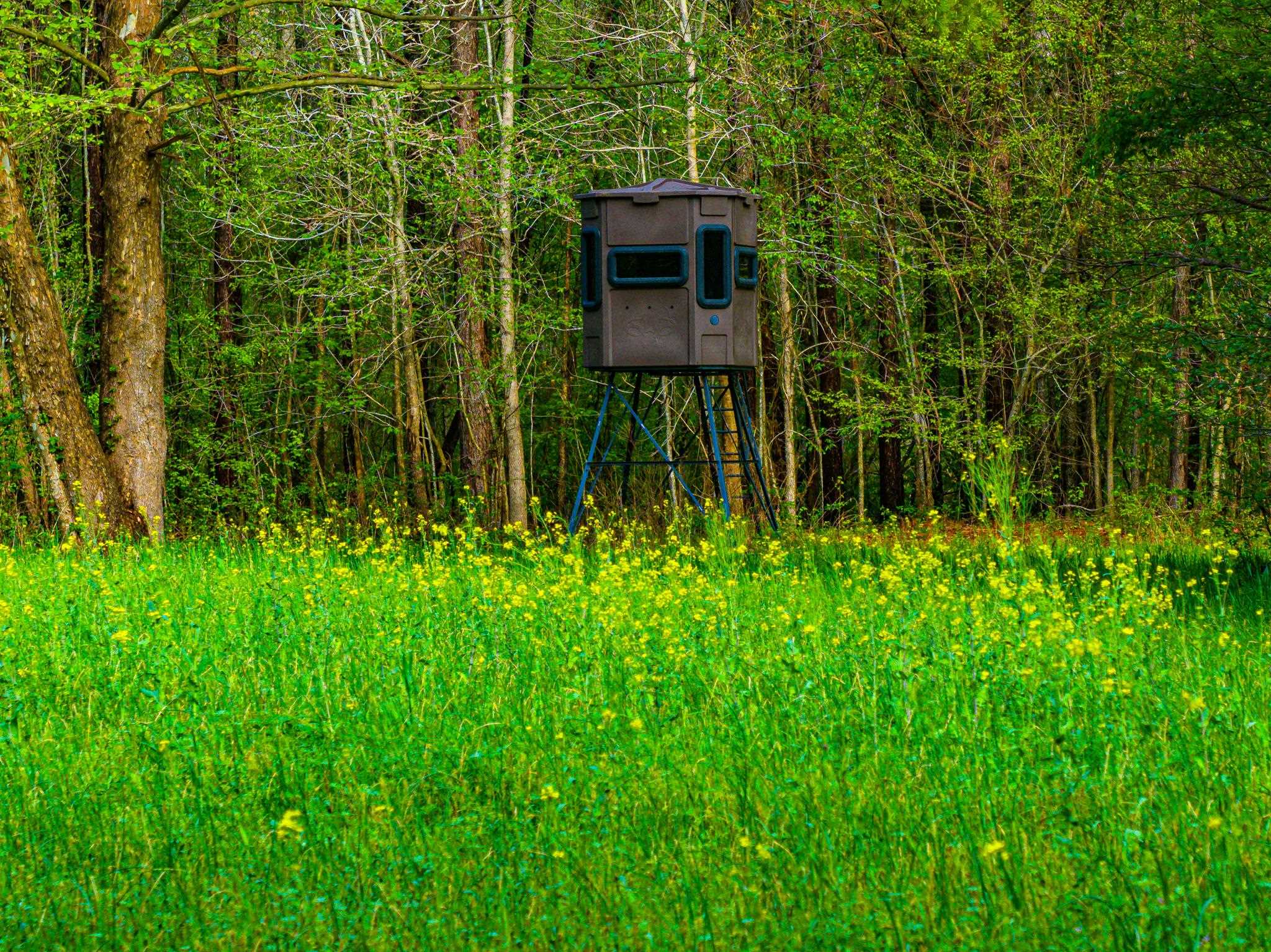 280 Fields Road Dukedom, TN 38226 - Photo 21 of 40 a garden view