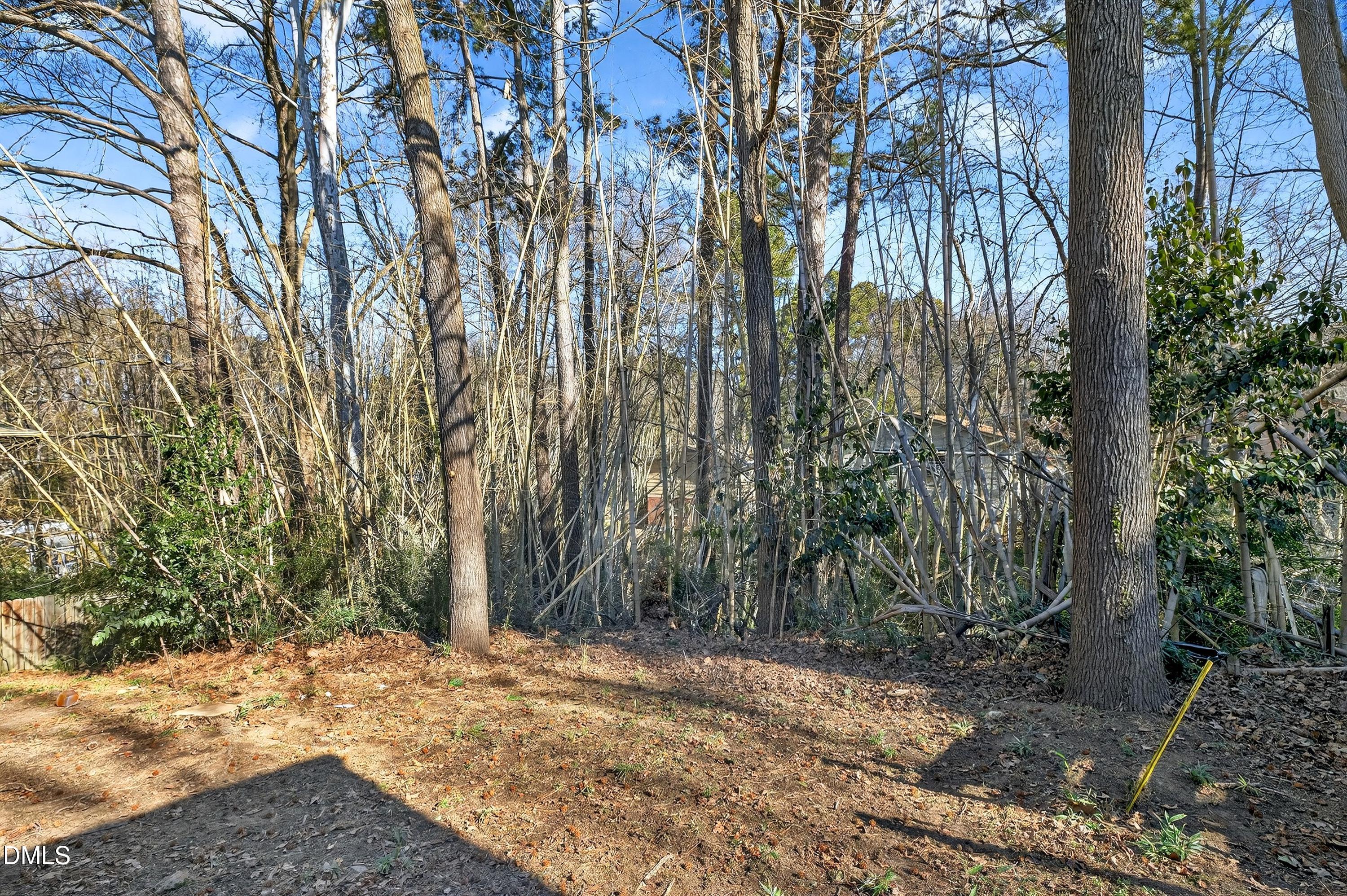 302 Normandy Street Durham, NC 27707 - Photo 29 of 29 a view of a yard with plants and trees