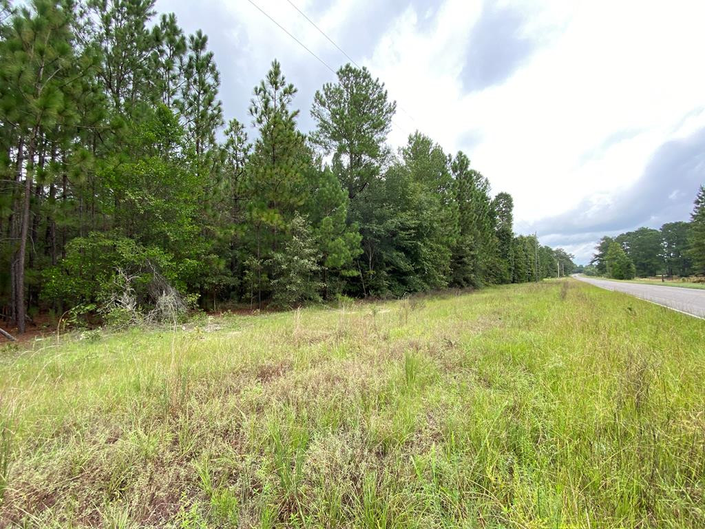 51.92-acre State Park Road Windsor, SC 29856 - Photo 6 of 14