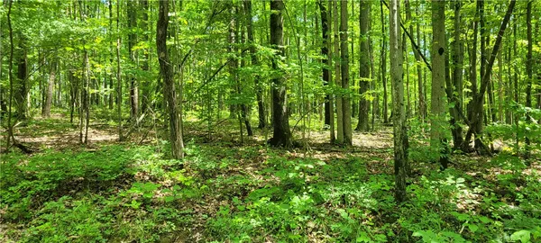 $49,500 | Hagerman Road, Waverly, NY 14892