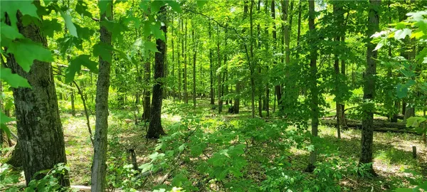 $49,500 | Hagerman Road, Waverly, NY 14892