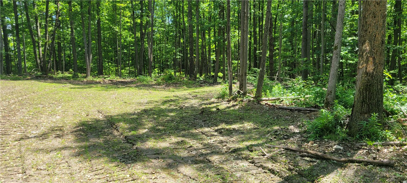 Hagerman Road Waverly, NY 14892 - Photo 3 of 7