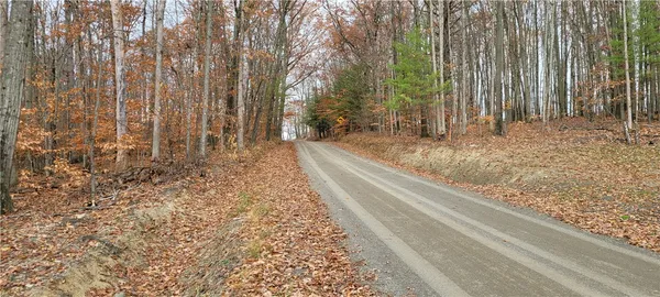 $49,500 | Hagerman Road, Waverly, NY 14892