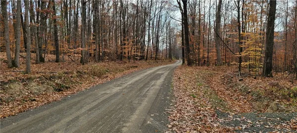 $49,500 | Hagerman Road, Waverly, NY 14892