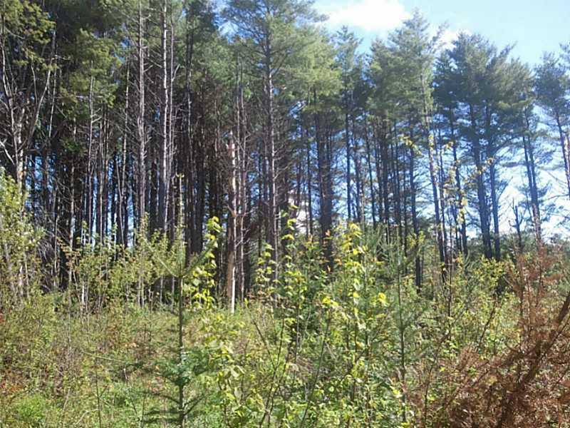 0 Winn Road Lee, ME 04455 - Photo 3 of 7 Land/Lot.