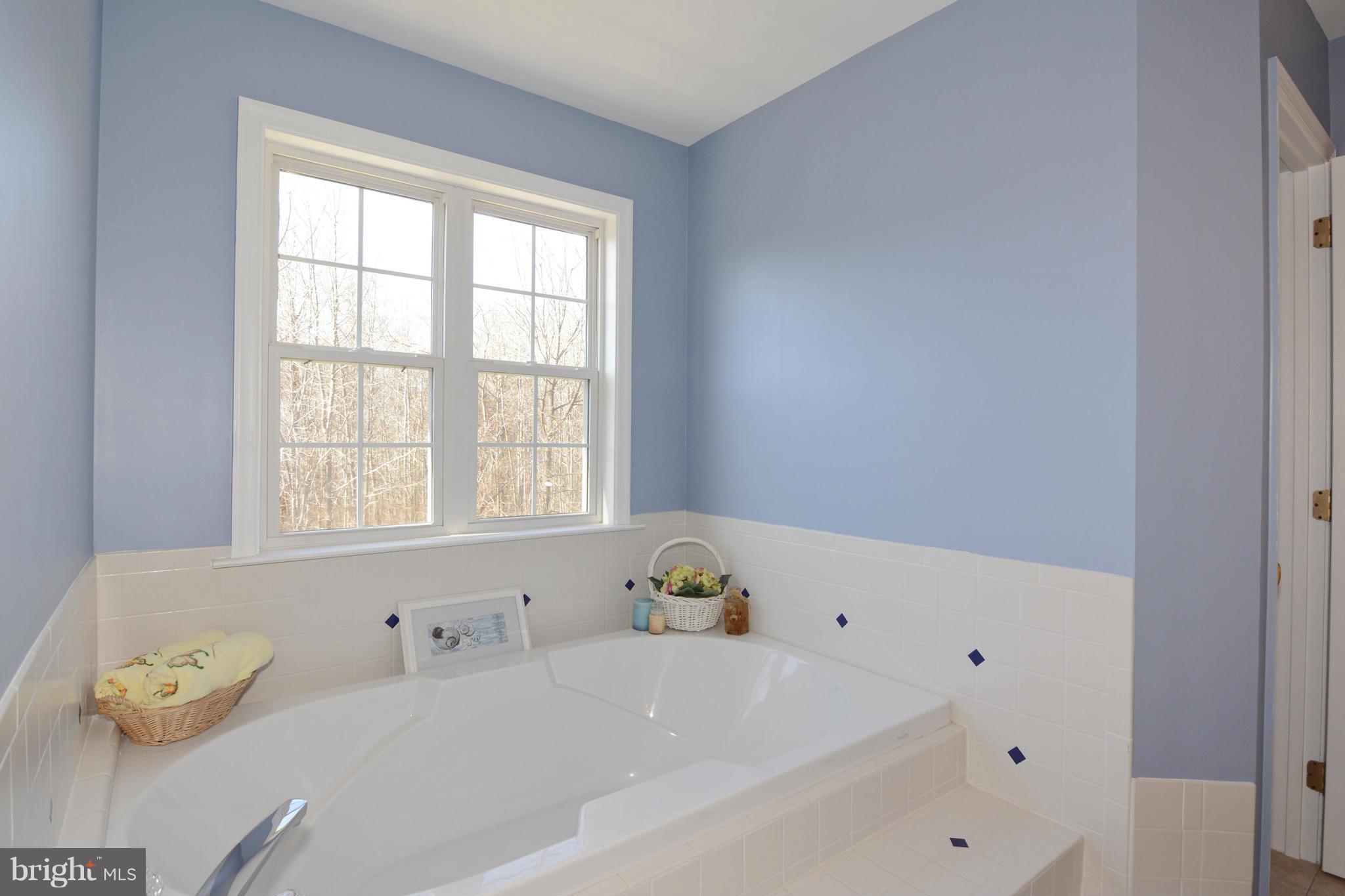 200 Serene Road Friendship, MD 20758 - Photo 14 of 30 Bath (Master)