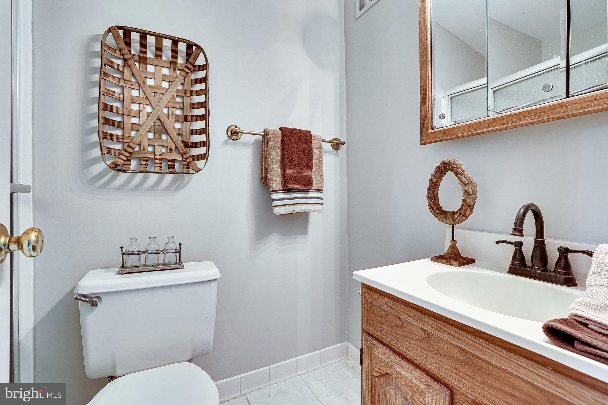 11865 Dunlop Court Reston, VA 20191 - Photo 16 of 76 Primary bath
