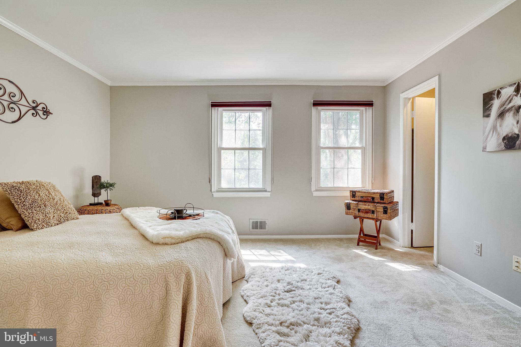 11865 Dunlop Court Reston, VA 20191 - Photo 29 of 76 Primary bedroom w new carpet & fresh paint