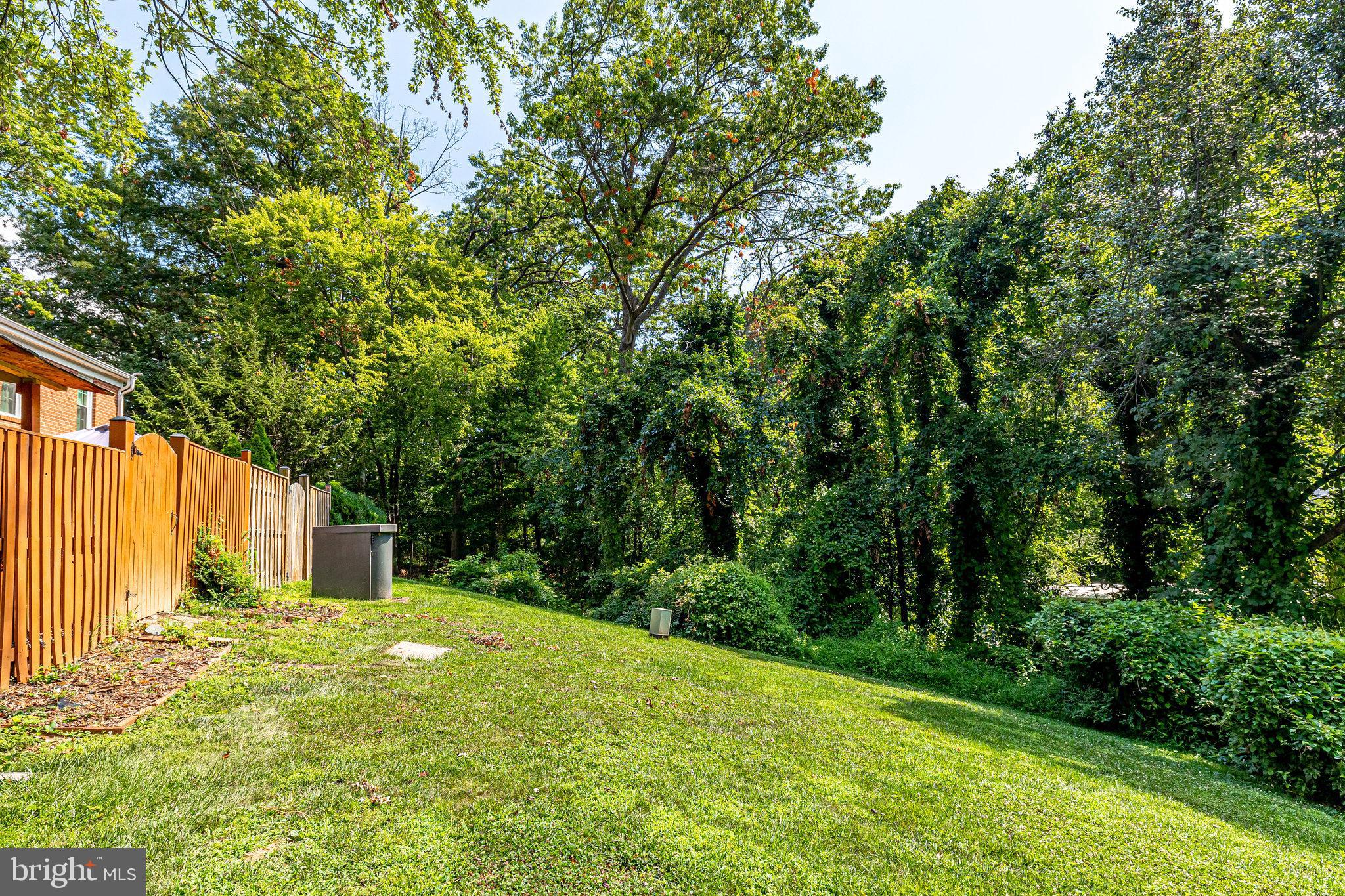 11865 Dunlop Court Reston, VA 20191 - Photo 33 of 76 Home backs to lush common grounds