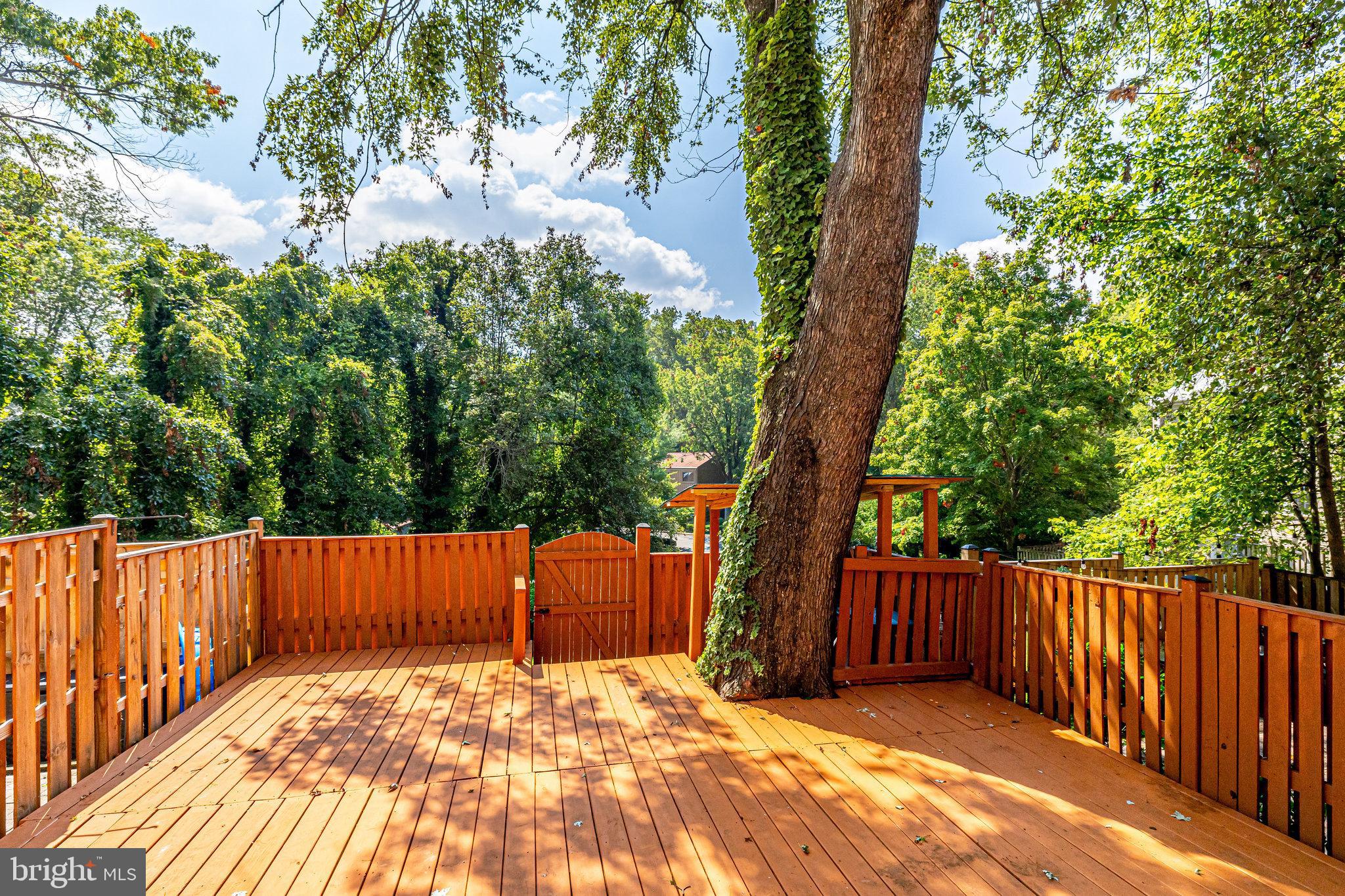 11865 Dunlop Court Reston, VA 20191 - Photo 35 of 76 Fenced rear deck a private oasis