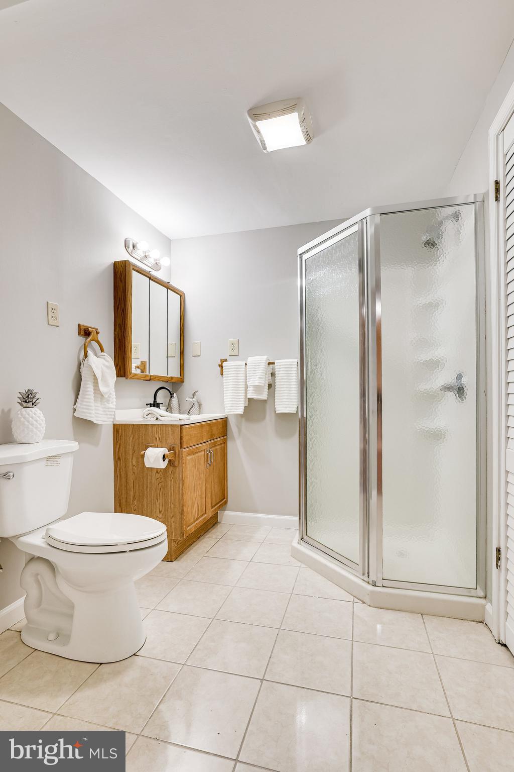 11865 Dunlop Court Reston, VA 20191 - Photo 47 of 76 HUGE lower level FULL bath