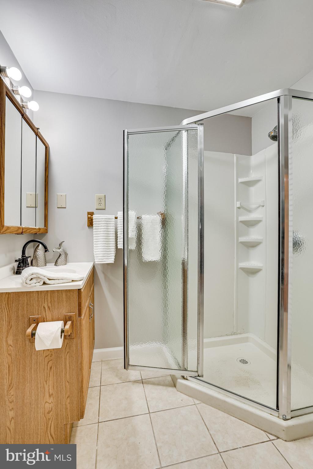 11865 Dunlop Court Reston, VA 20191 - Photo 49 of 76 Convenient lower level full bath