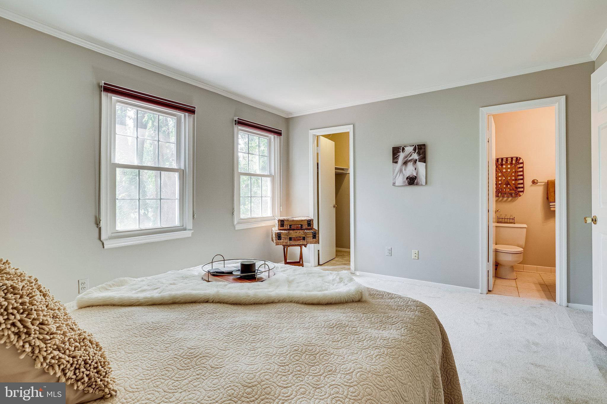 11865 Dunlop Court Reston, VA 20191 - Photo 50 of 76 Primary bedroom w full bath and walk-in closet