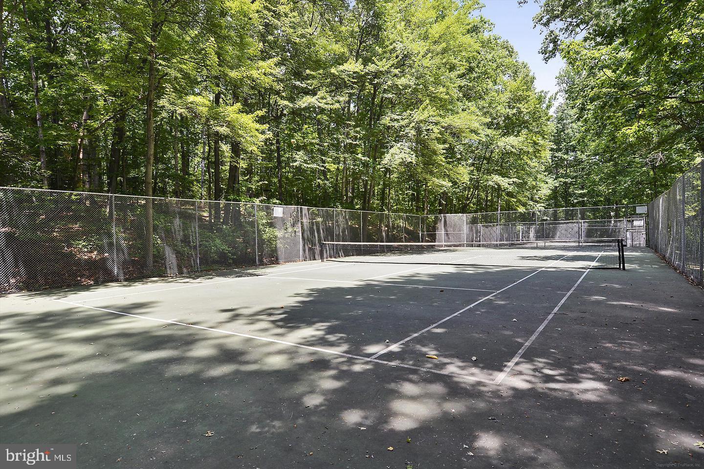 11865 Dunlop Court Reston, VA 20191 - Photo 58 of 76 Deepwood's tennis court