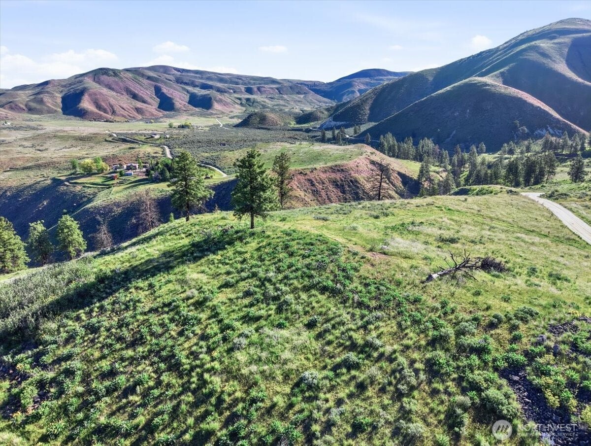 25 Chelan Hills Acres Road Orondo, WA 98843 - Photo 12 of 39 a view of a lush green field with mountains in the background