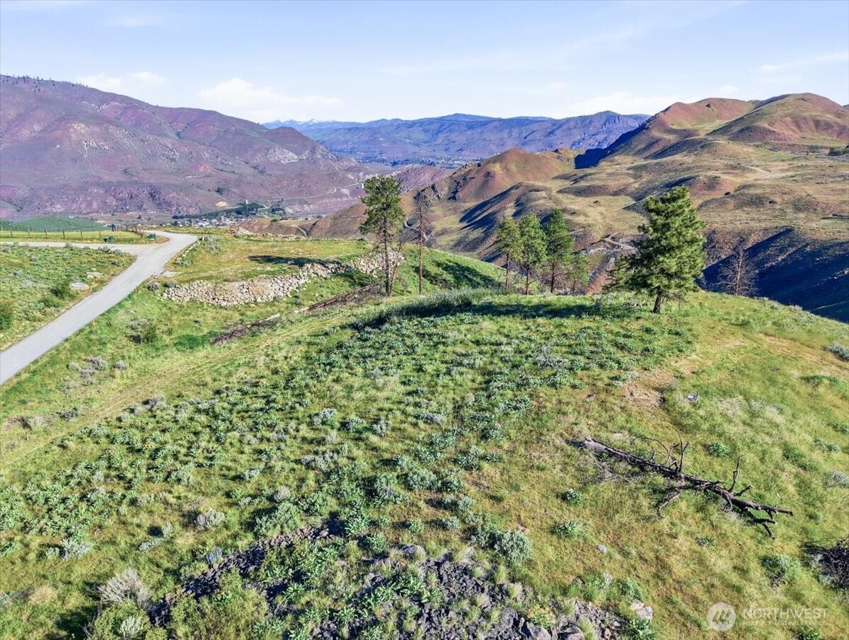 25 Chelan Hills Acres Road Orondo, WA 98843 - Photo 13 of 39 a view of a lush green hillside and houses