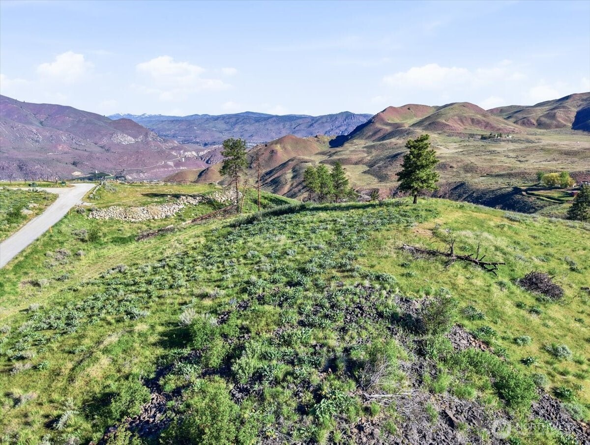 25 Chelan Hills Acres Road Orondo, WA 98843 - Photo 17 of 39 a view of a lush green hillside and a houses
