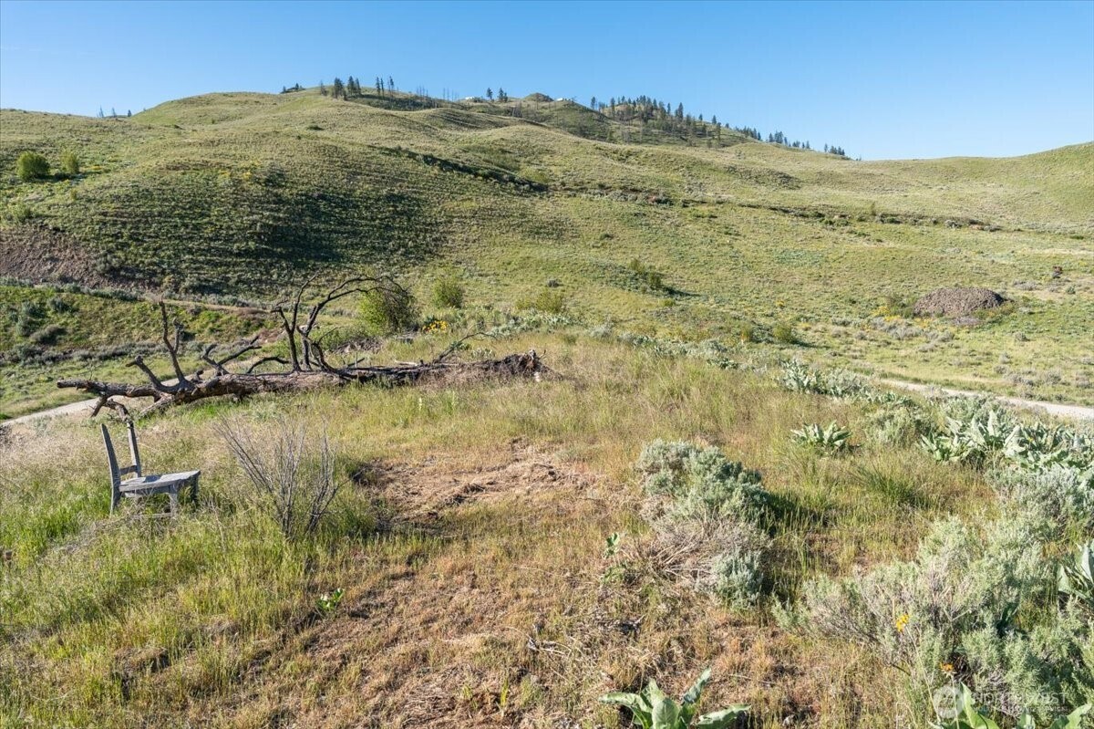 25 Chelan Hills Acres Road Orondo, WA 98843 - Photo 20 of 39 a view of lake and mountain