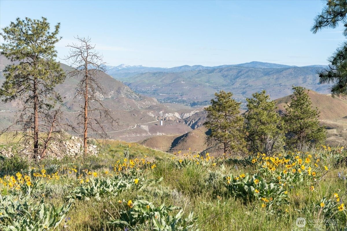 25 Chelan Hills Acres Road Orondo, WA 98843 - Photo 21 of 39 a view of a dry yard with mountains in the background