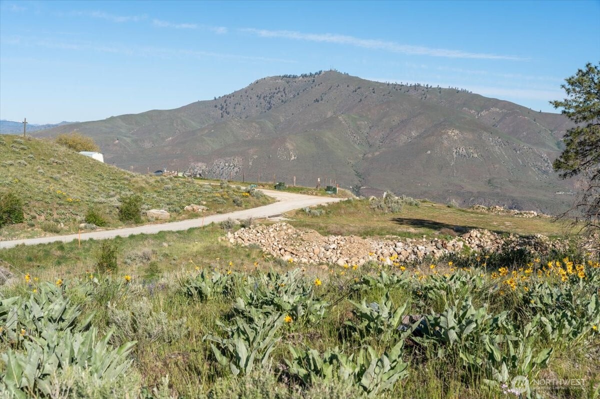25 Chelan Hills Acres Road Orondo, WA 98843 - Photo 23 of 39 a view of a mountain from a yard