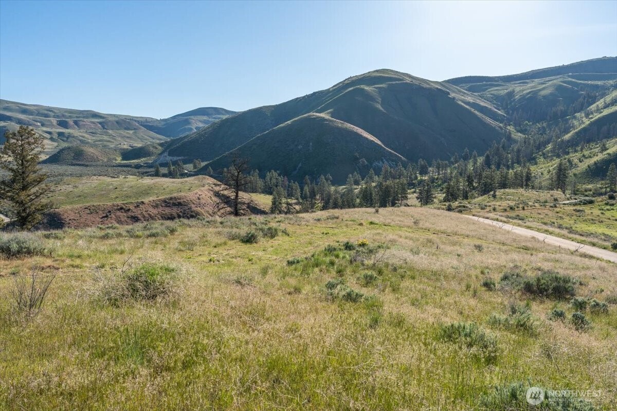 25 Chelan Hills Acres Road Orondo, WA 98843 - Photo 24 of 39 a view of a dry yard with mountains