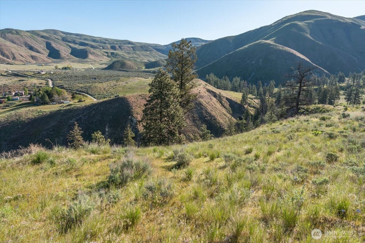 25 Chelan Hills Acres Road Orondo, WA 98843 - Photo 26 of 39 a view of a backyard