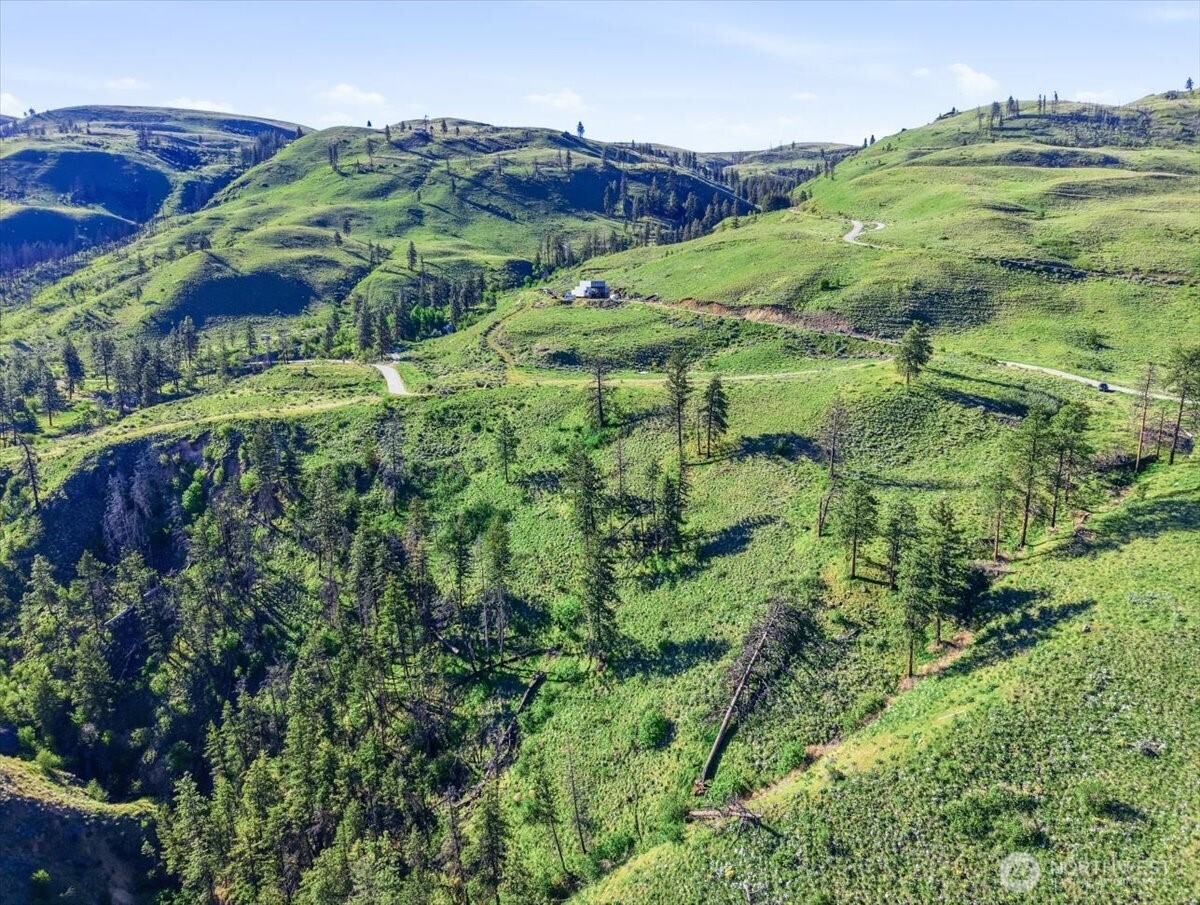 25 Chelan Hills Acres Road Orondo, WA 98843 - Photo 30 of 39 a view of a lush green forest with lots of trees